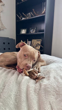 Load image into Gallery viewer, ANTLER ROPE SNAKS 100% COTTON + ELK ANTLER