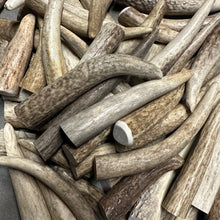 Load image into Gallery viewer, Antler Tip 5 Pack 3.5-5"