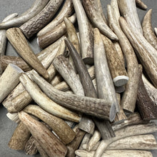 Load image into Gallery viewer, Antler Tip 5 Pack 3.5-5"