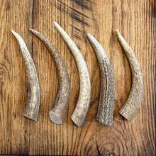 Load image into Gallery viewer, ELK TINE SNAKS (ALL SIZES)