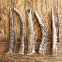 Load image into Gallery viewer, ELK TINE SNAKS (ALL SIZES)