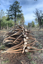 Load image into Gallery viewer, MEDIUM SPLIT ANTLER SNAKS