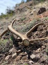 Load image into Gallery viewer, SMALL SPLIT ANTLER SNAKS